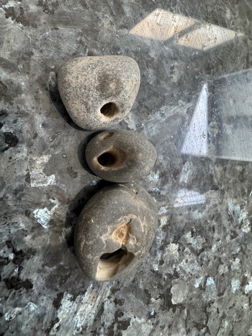 3 Holey Beach Rocks Hag Adder Stone Fairy  Natural Lucky Shore of Cayuga Lake NY